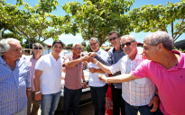 Agenda do Governador: Rui Costa participa de inaugurações e entrega ambulâncias em Jacaraci