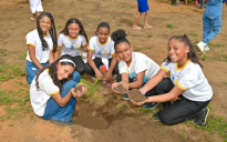 Meio Ambiente | Projeto “Conquista Mais Verde” inicia plantio de árvores na Joia do Sertão Baiano