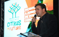 Desenvolvimento Rural | Citrus do Futuro incentiva a produção de laranja, limão e tangerina em Conquista