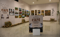 Exposição de Arte | Dia Mundial do Café é celebrado no Boulevard Shopping Vitória da Conquista